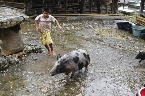 From Sabang to Merauke, a journey across Indonesia by Chris Stowers