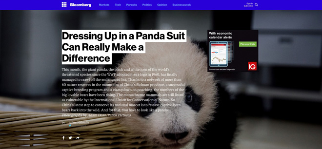 adam-dean-panda-bloomberg