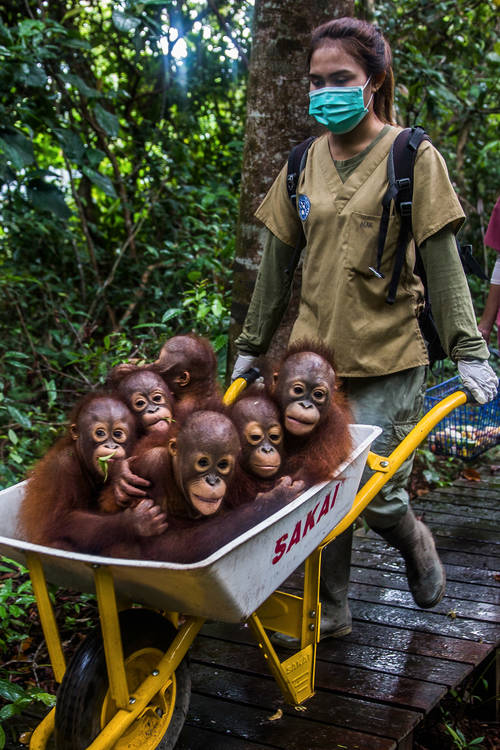Kemal Jufri wins first prize at the Istanbul Photo Awards