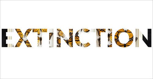 Marc Schlossman launches Extinction website