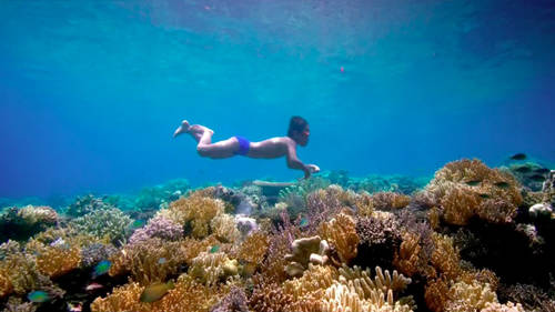 Jago: A Life Underwater, a new documentary by James Morgan, screened on BBC4