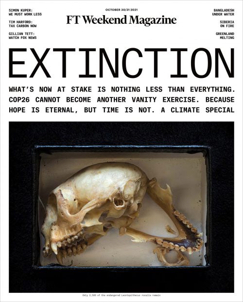 Marc Schlossman published in the FT Magazine