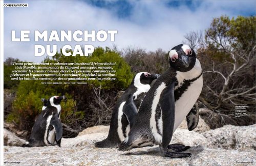 Tommy Trenchard and Aurelie d’Unienville published in Terre Sauvage