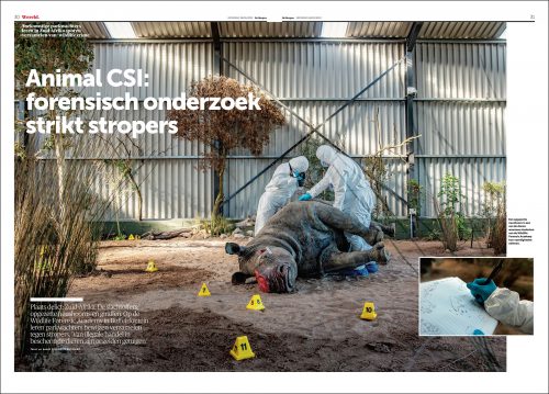 Tommy Trenchard published in de Morgen magazine in Belgium