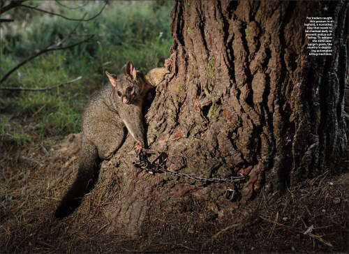Robin Hammond published in National Geographic Magazine