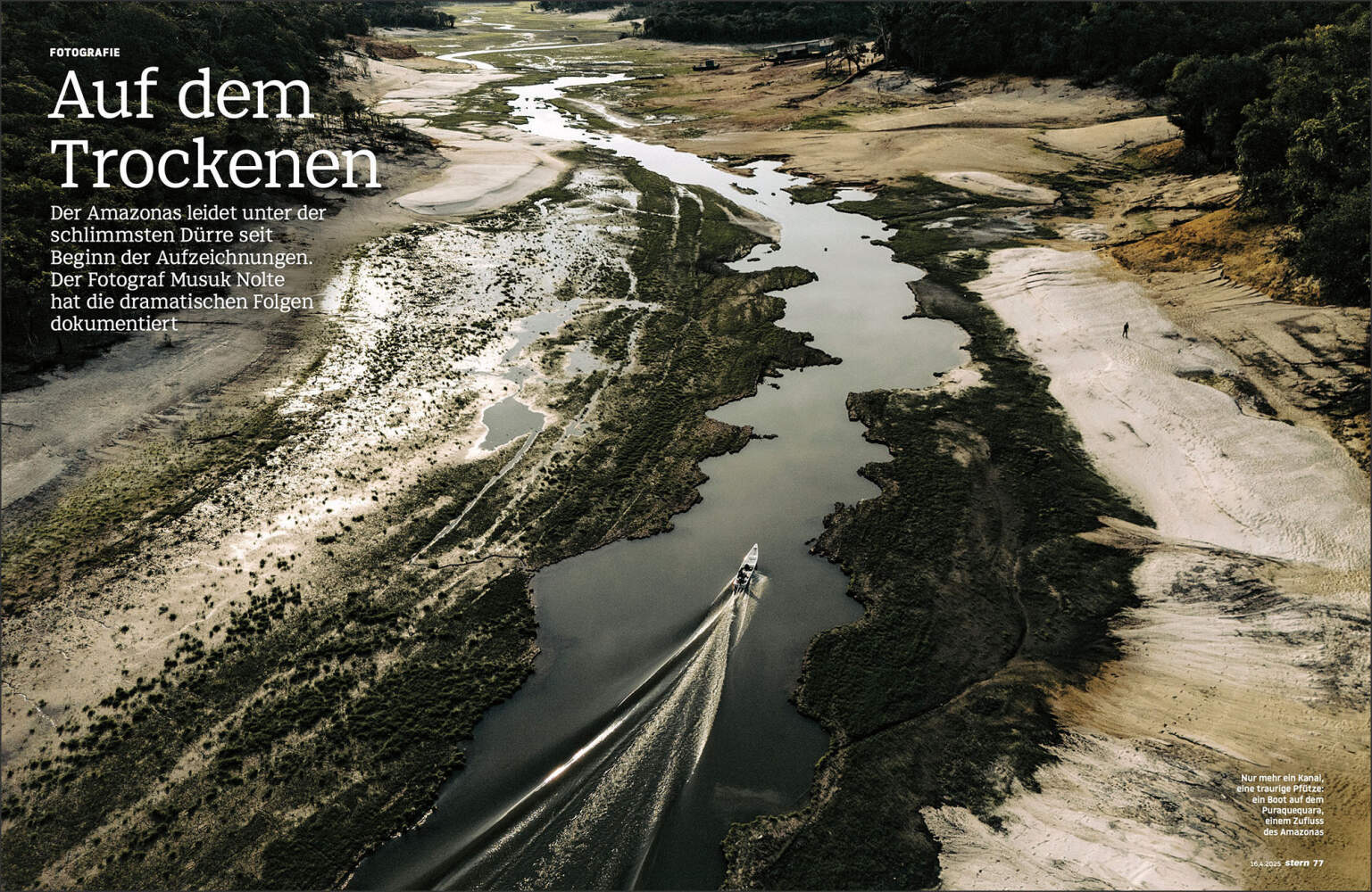 Musuk Nolte in Stern magazine, Germany