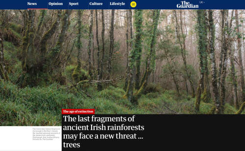 Rob Stothards published in The Guardian