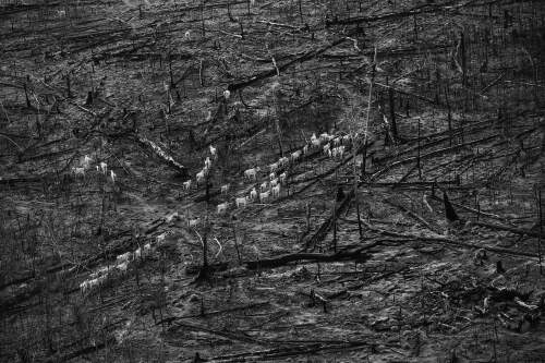 Lalo de Almeida awarded Terre Solidaire’s Prix Photo