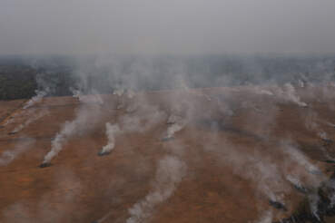 Subjugating the Amazon