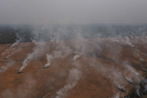 Subjugating the Amazon