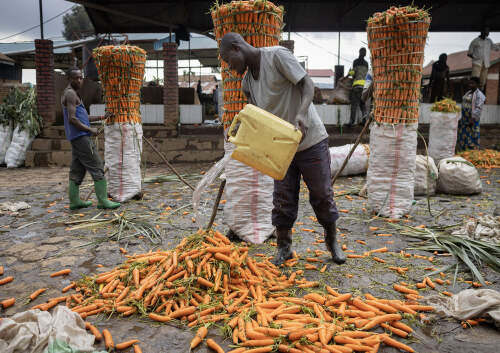 New partnership with Clean Cooling Network (CCN)