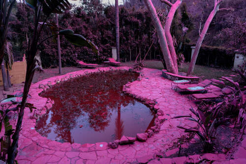 Pictures of the Year (POY) awards 2026